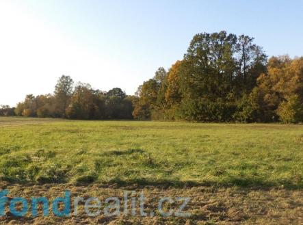 Prodej pozemku, ostatní, 6 981 m²