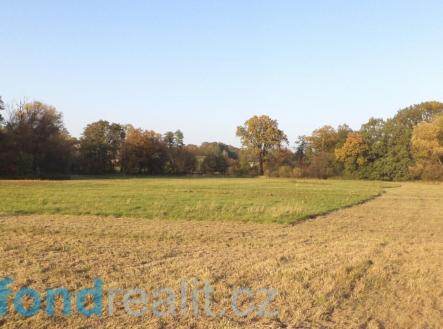 Prodej pozemku, ostatní, 6 981 m²