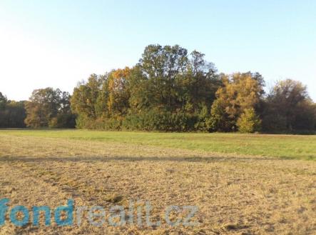 Prodej pozemku, ostatní, 6 981 m²