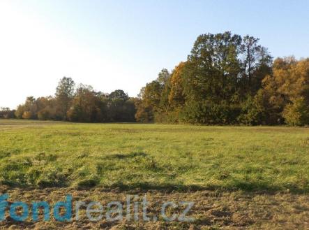 Prodej pozemku, ostatní, 6 981 m²