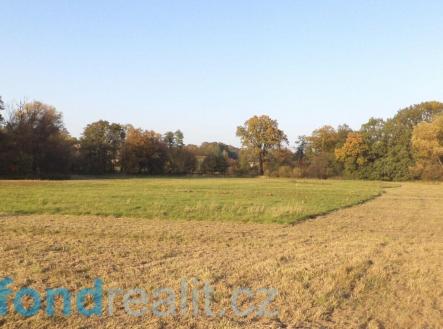 Prodej pozemku, ostatní, 6 981 m²