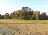 Prodej pozemku, ostatní, 6 981 m²