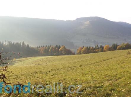 Prodej - pozemek, zemědělská půda, 9 791 m²