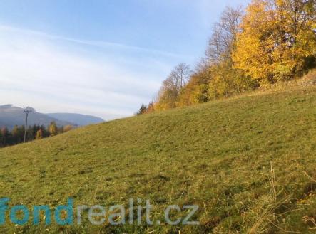 Prodej - pozemek, zemědělská půda, 9 791 m²