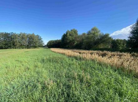 Prodej pozemku, ostatní, 1 447 m²