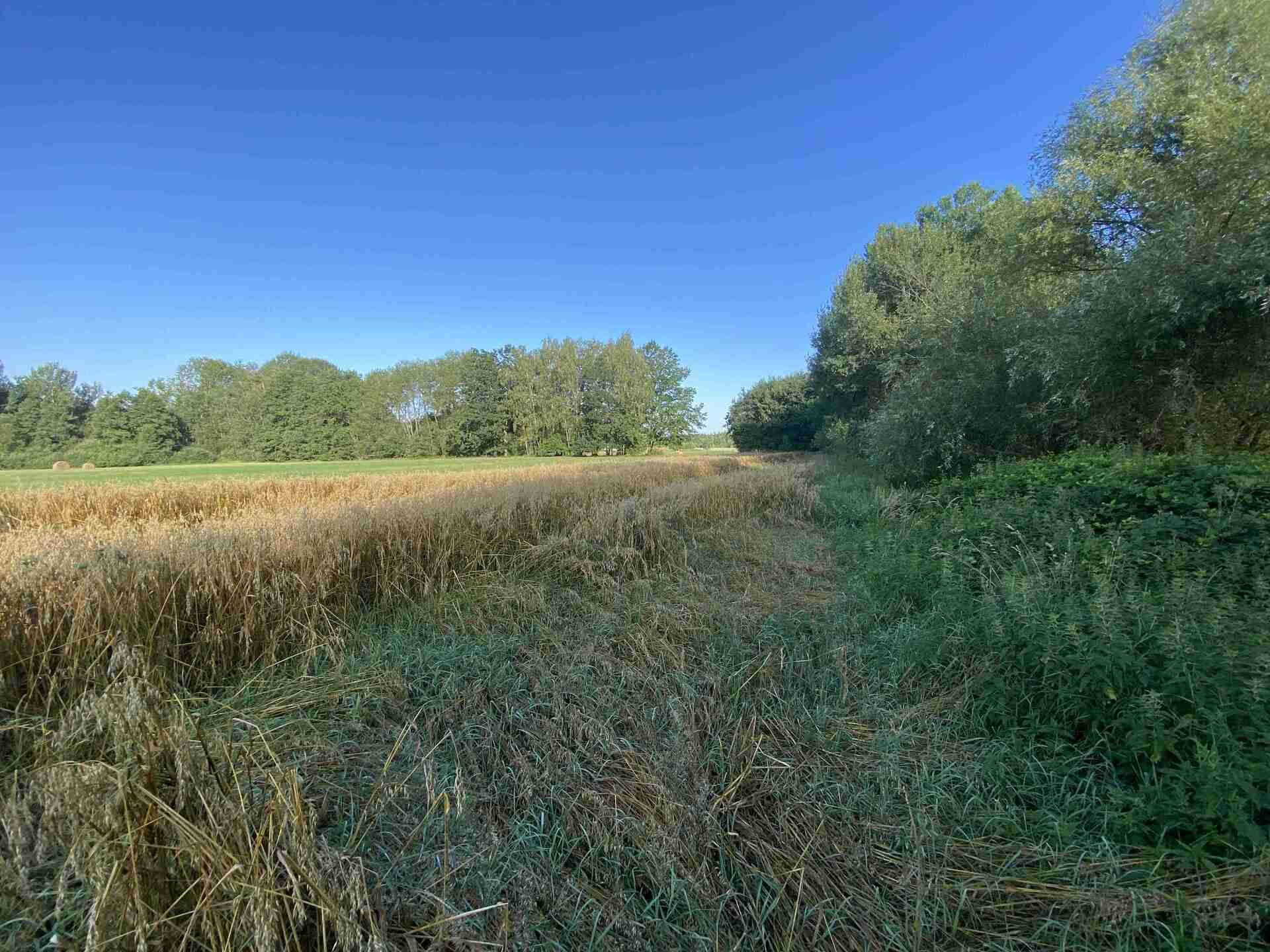 Prodej pozemku Žíteč