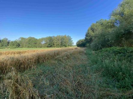 Prodej pozemku, ostatní, 1 447 m²