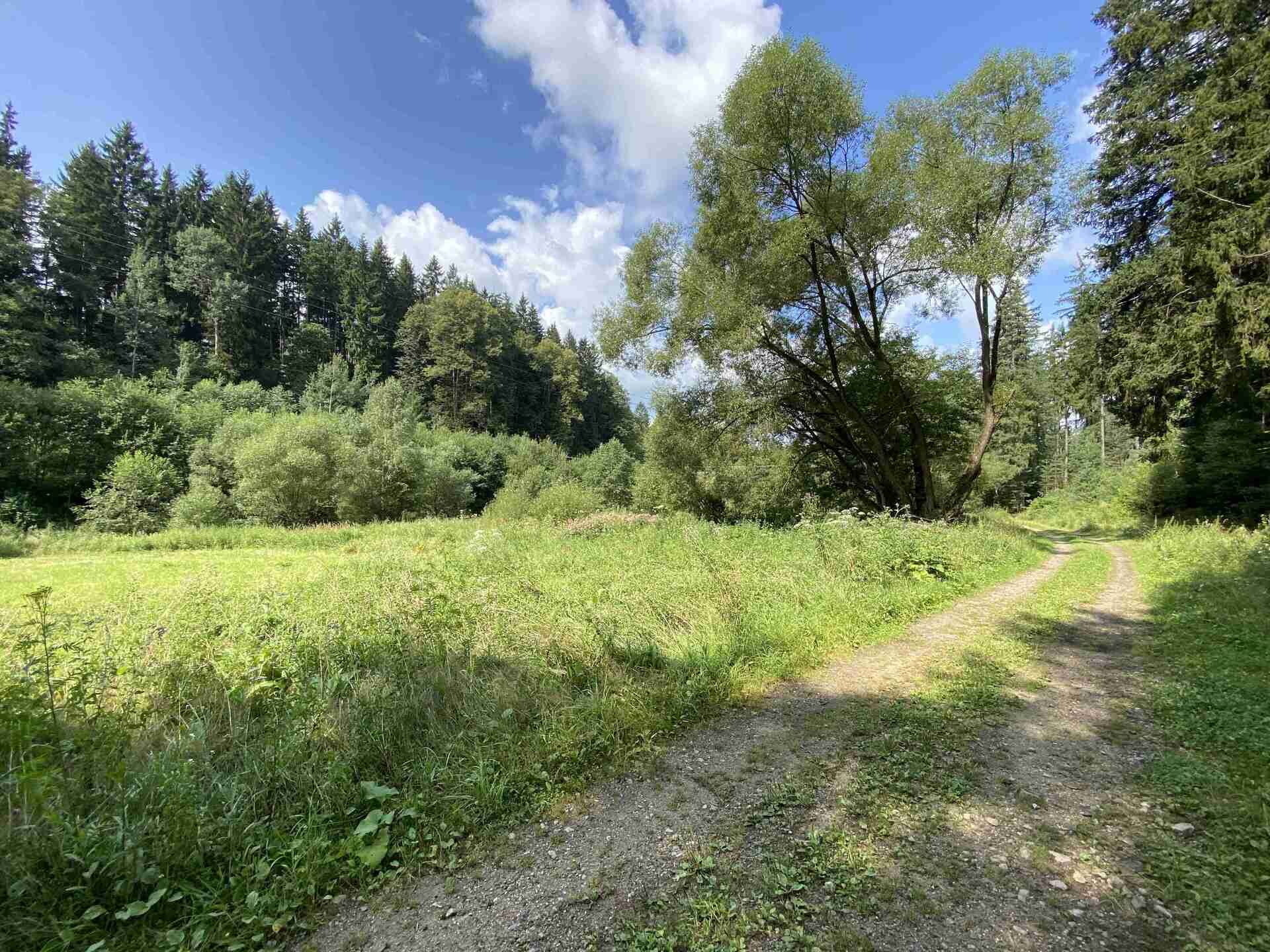 Prodej pozemků Blansko u Kaplice