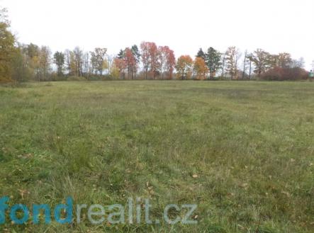 Prodej - pozemek, zemědělská půda, 43 420 m²