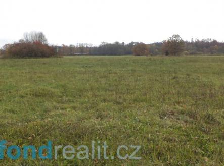 Prodej - pozemek, zemědělská půda, 43 420 m²