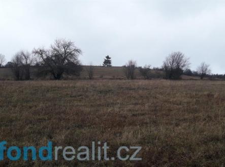 Prodej - pozemek, zemědělská půda, 29 954 m²