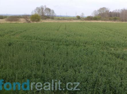 Prodej pozemku, zemědělská půda, 3 467 m²