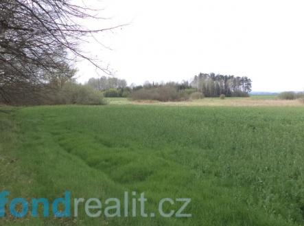 Prodej pozemku, zemědělská půda, 3 467 m²