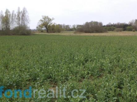 Prodej pozemku, zemědělská půda, 3 467 m²