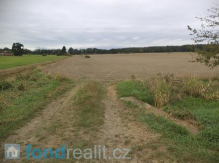 Prodej - pozemek, zemědělská půda, 6 687 m²