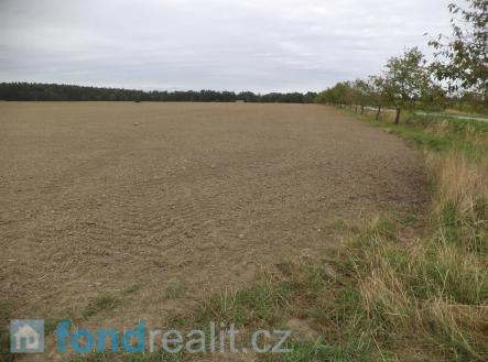 Prodej - pozemek, zemědělská půda, 6 687 m²