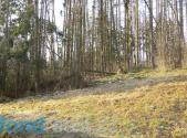 Prodej pozemku, ostatní, 1 595 m²