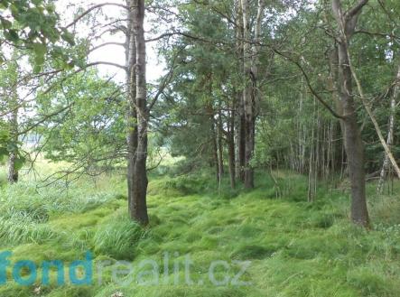 Prodej pozemku, ostatní, 3 147 m²