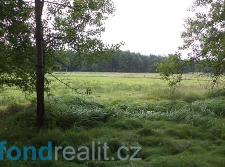 Prodej pozemku, ostatní, 3 147 m²