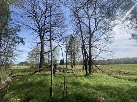 Prodej pozemku, ostatní, 3 147 m²