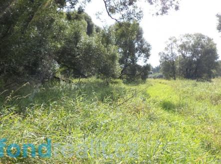 Prodej pozemku, ostatní, 828 m²