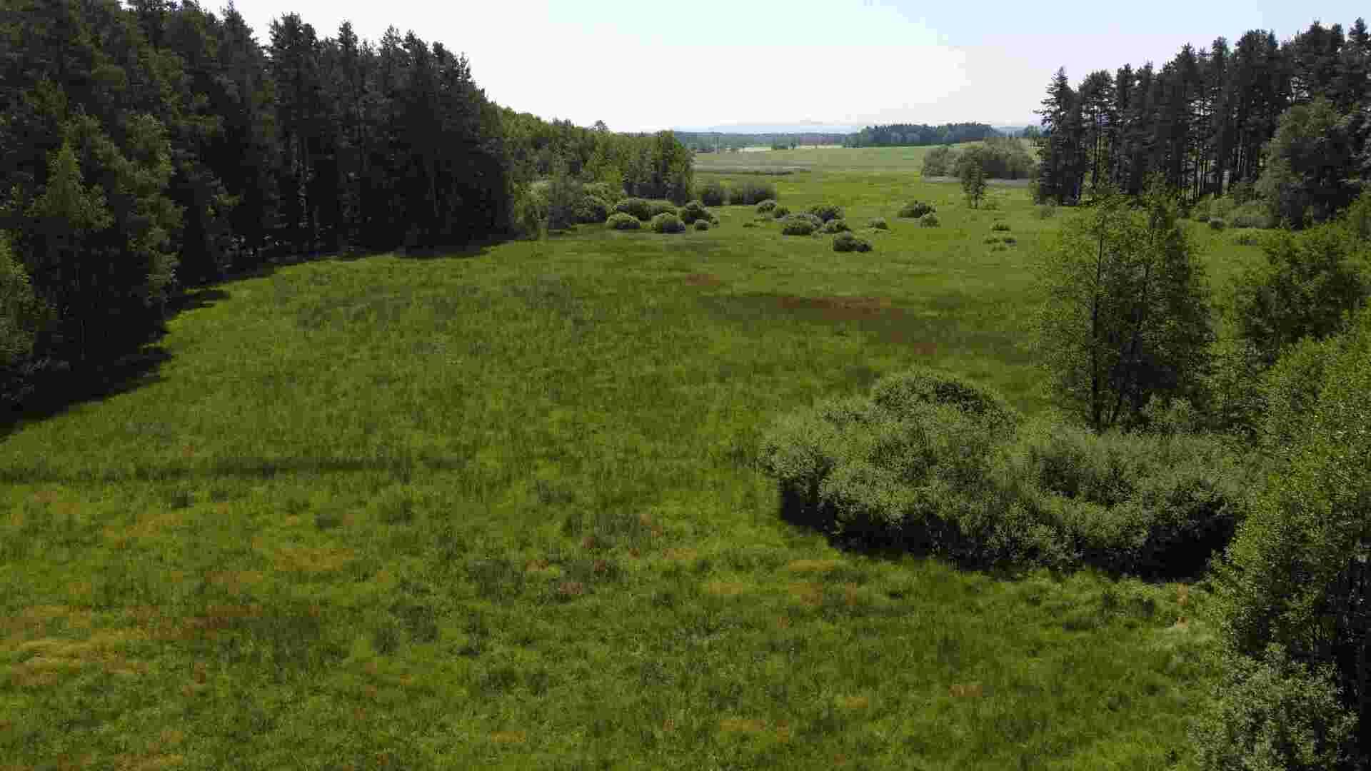 Prodej pozemků Jílovice u Trhových Svinů