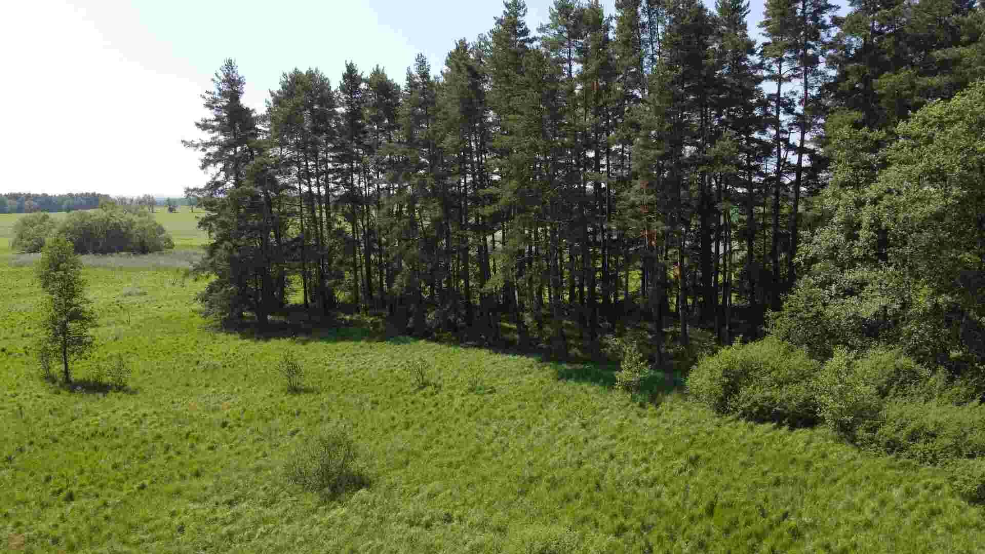 Prodej pozemků Jílovice u Trhových Svinů