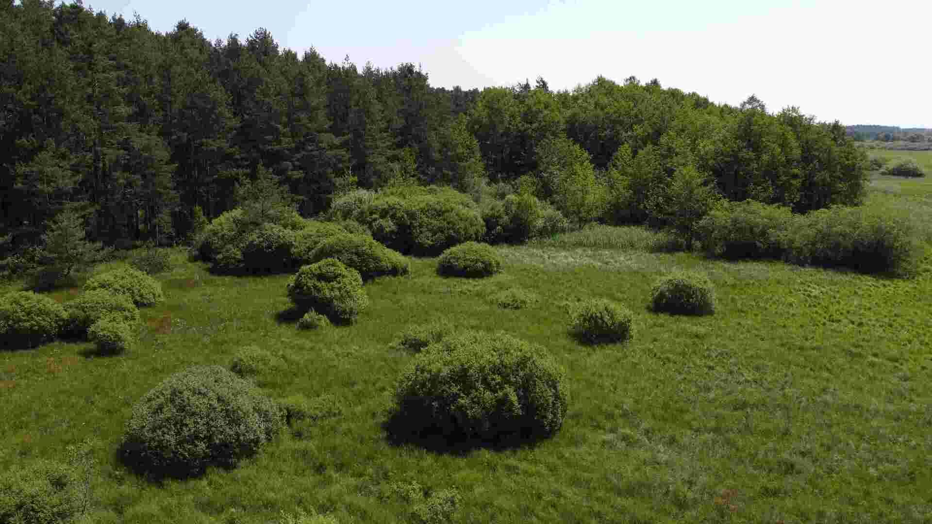 Prodej pozemků Jílovice u Trhových Svinů