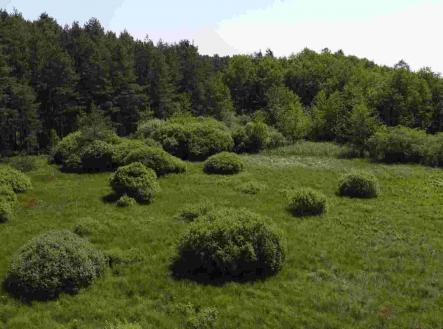 Prodej pozemku, ostatní, 20 535 m²