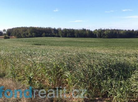 Prodej - pozemek, zemědělská půda, 4 968 m²