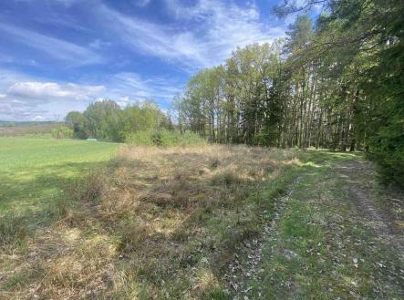 Prodej pozemku, zemědělská půda, 5 875 m²