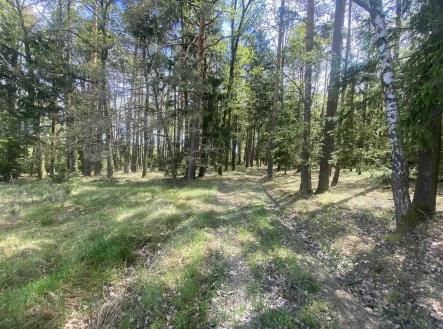 Prodej pozemku, zemědělská půda, 5 875 m²