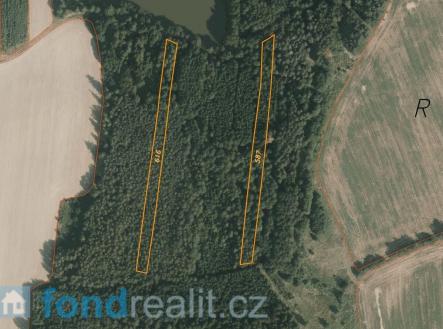 Prodej - pozemek, les, 9 683 m²