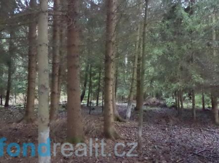 Prodej pozemku, les, 9 683 m²