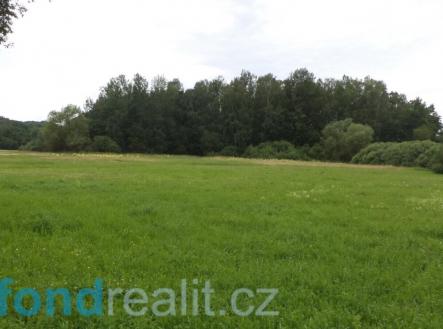 Prodej - pozemek, zemědělská půda, 5 581 m²