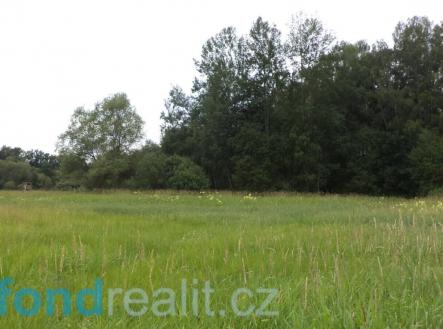 Prodej - pozemek, zemědělská půda, 5 581 m²