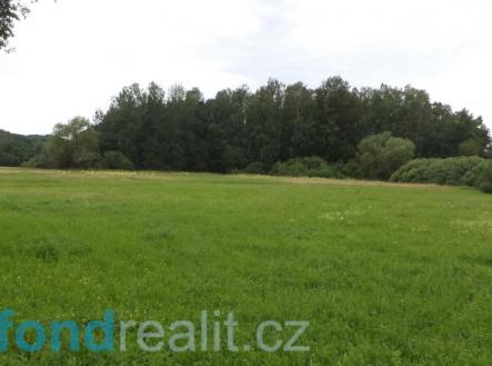 Prodej - pozemek, zemědělská půda, 5 581 m²