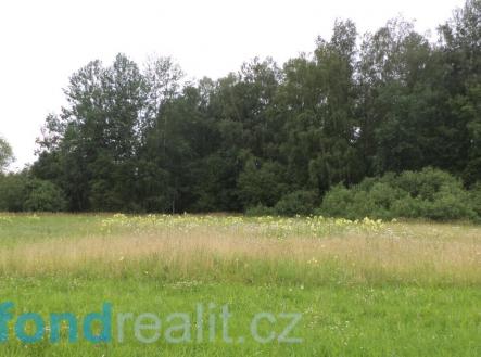 Prodej - pozemek, zemědělská půda, 5 581 m²