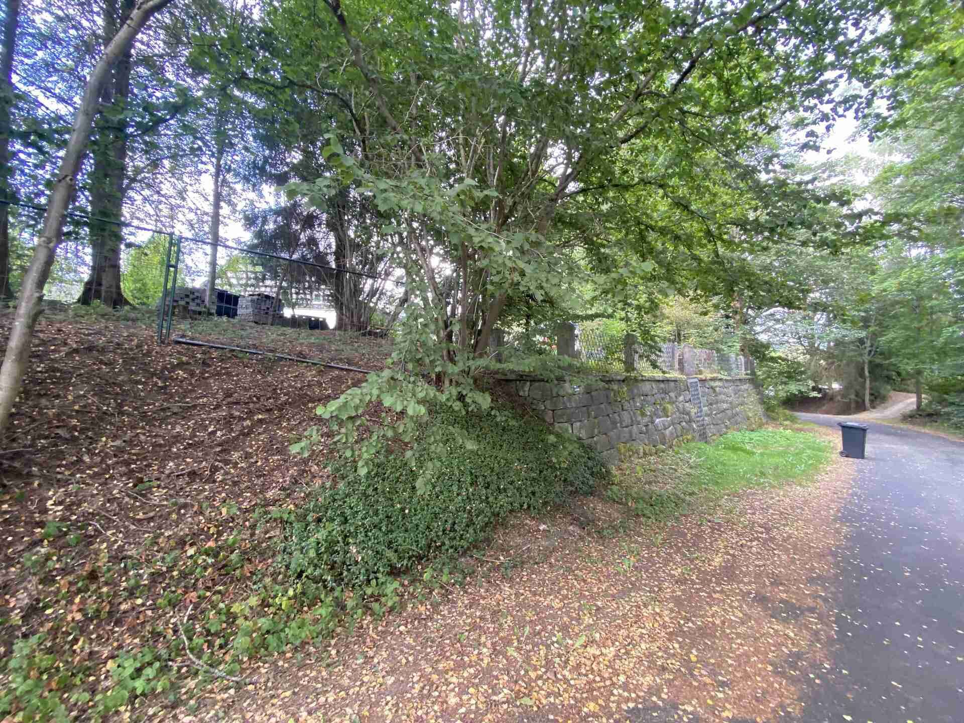 prodej pozemků k.ú. Loučná v Krušných horách