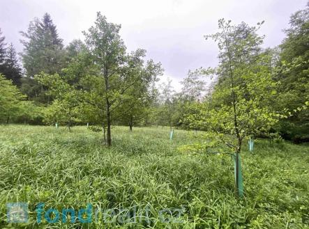 Prodej pozemku, zemědělská půda, 12 590 m²