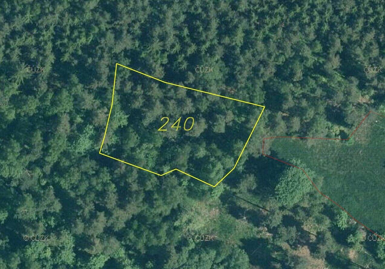 prodej pozemků k.ú. Rejštejn