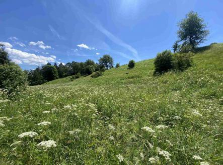 Prodej - pozemek, ostatní, 9 140 m²