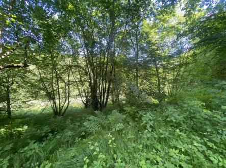 Prodej pozemku, ostatní, 3 924 m²