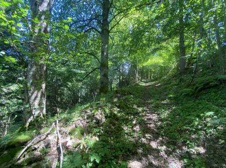 Prodej pozemku, ostatní, 3 924 m²