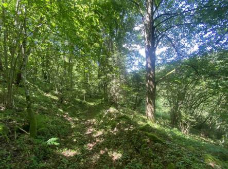 Prodej pozemku, ostatní, 3 924 m²