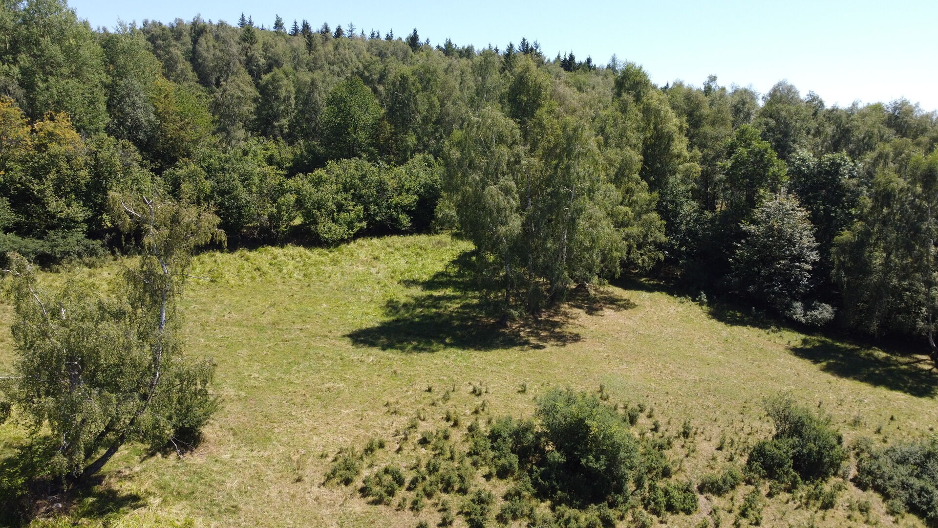 prodej pozemků k.ú. Maleč