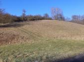 Prodej pozemku, zemědělská půda, 3 880 m²