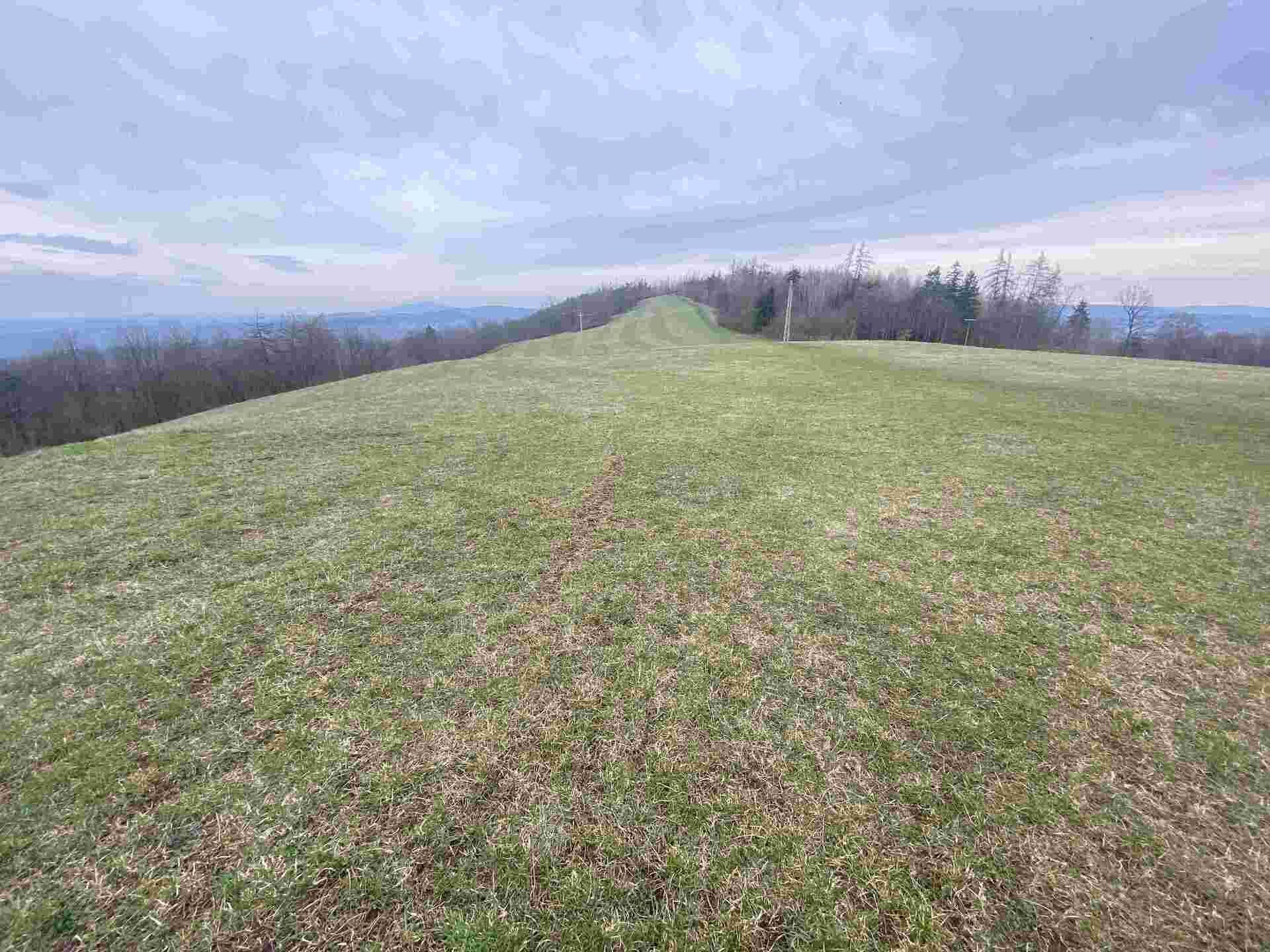 prodej pozemků k.ú Vesec pod Kozákovem