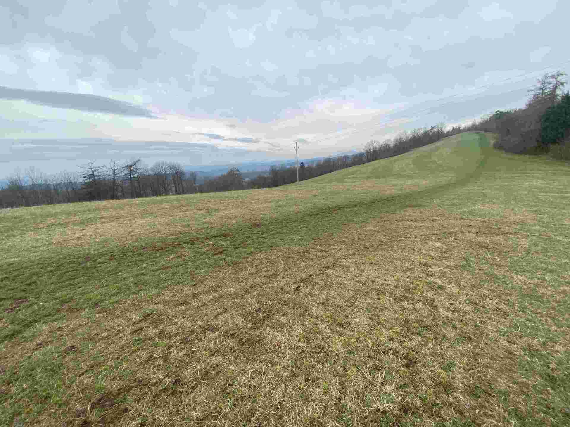 prodej pozemků k.ú Vesec pod Kozákovem