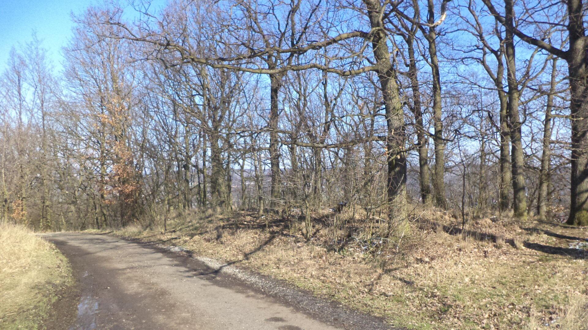 prodej pozemku Všebořice